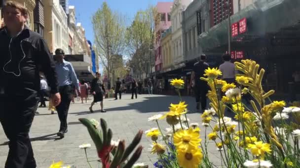 Perth Sep 2020 澳大利亚西部珀斯中心商业区的一条主要公路Hay Street上 行人走过鲜花盛开的街道 — 图库视频影像