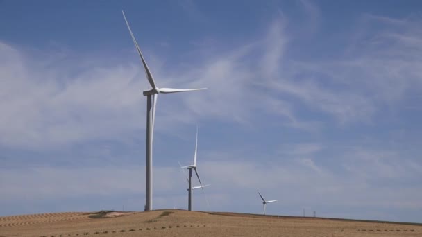 Große Kinetische Windkraftanlagen Drehen Sich Auf Dem Feld Der Nähe — Stockvideo