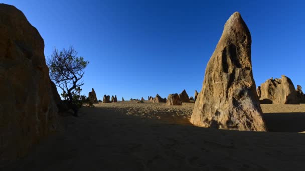 西オーストラリア州のセルバンテス近くの日没の間のピナクル砂漠の石灰岩の形成風景の時間の経過 — ストック動画