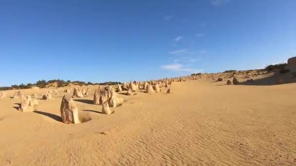 Time Lapse Pov Standpunt Van Persoon Wandelen Pinnacles Woestijn Buurt — Stockvideo