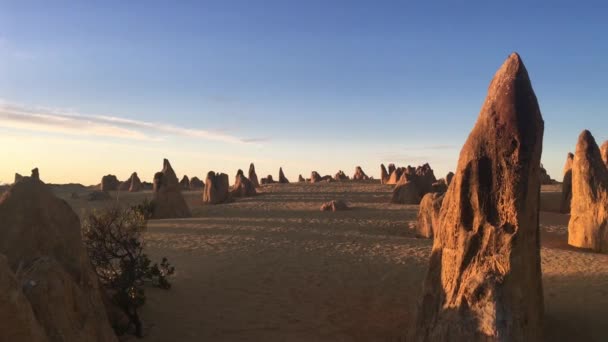 西オーストラリア州のセルバンテス近くの日没時のピナクル砂漠の石灰岩の形成風景 — ストック動画