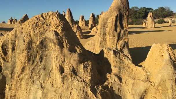 西オーストラリア州のセルバンテス近くのピナクル砂漠の石灰岩の地形の風景 — ストック動画