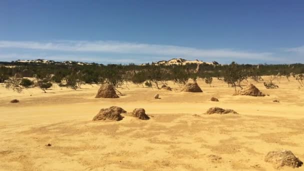 西オーストラリア州のセルバンテス近くのピナクル砂漠の石灰岩の地形の風景 — ストック動画