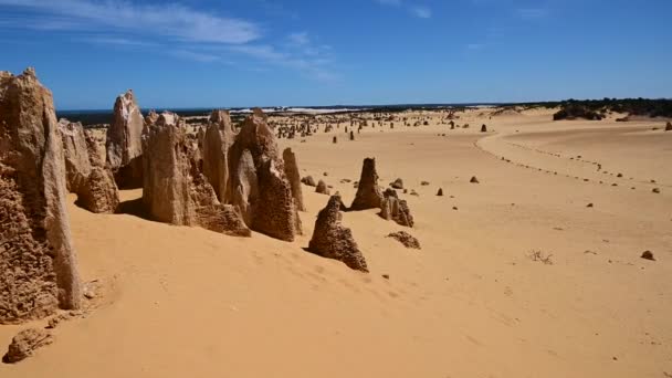 西オーストラリア州のセルバンテス近くのピナクル砂漠石灰岩の形成風景 — ストック動画