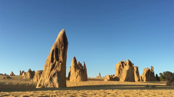 Photographer Photographing Pinnacle Desert Limestone Formations Landscape Cervantes Western Australia — Stock Video