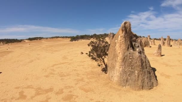 Pinnacles Öknen Nära Cervantes Västra Australien — Stockvideo