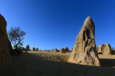 Batı Avustralya 'daki Cervantes yakınlarındaki Pinnacle Çölü kireçtaşı oluşumlarının manzarası..