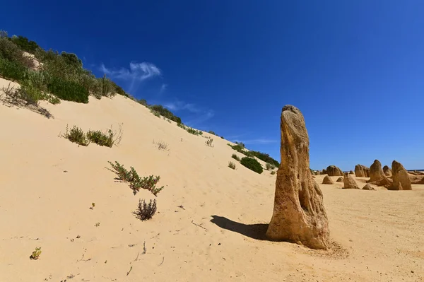 Paisaje Las Formaciones Piedra Caliza Del Desierto Pináculo Cerca Cervantes —  Fotos de Stock