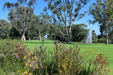 Kings Park ve Botanik Bahçesi Perth Batı Avustralya 'da ziyaretçiler. Dünyanın en büyük şehir parklarından biri..