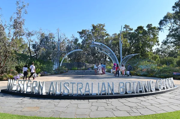 Perth Oct 2020 Visiteurs Kings Park Jardin Botanique Perth Australie — Photo