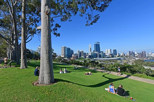 Perth Oct 2020 Vierailijat Kings Parkissa Kasvitieteellisessä Puutarhassa Perth Western — kuvapankkivalokuva