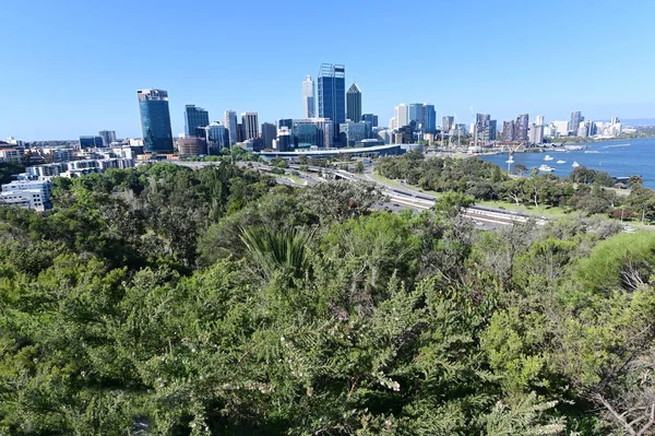 Perth Stad Skyline Als Uitzicht Vanaf Kings Park Botanic Garden — Stockfoto