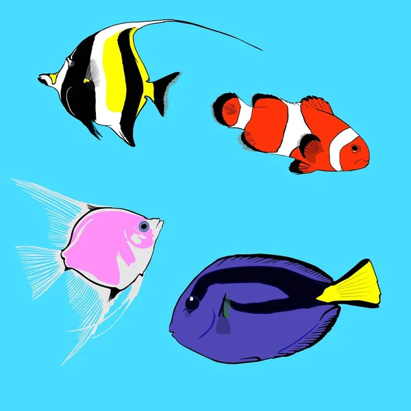 Conjunto Varios Peces Marinos Tropicales Consta Peces Loro Peces Cirujano — Archivo Imágenes Vectoriales