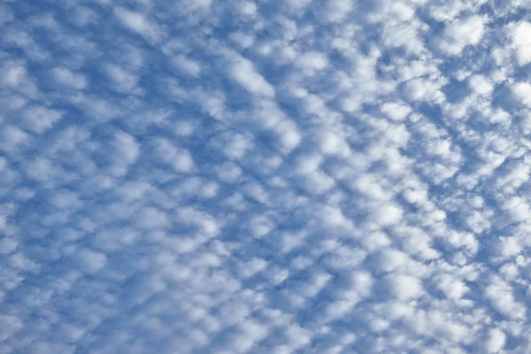Nube su cielo blu — Foto Stock