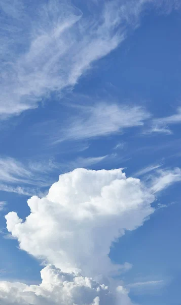 Nor pe cerul albastru — Fotografie, imagine de stoc