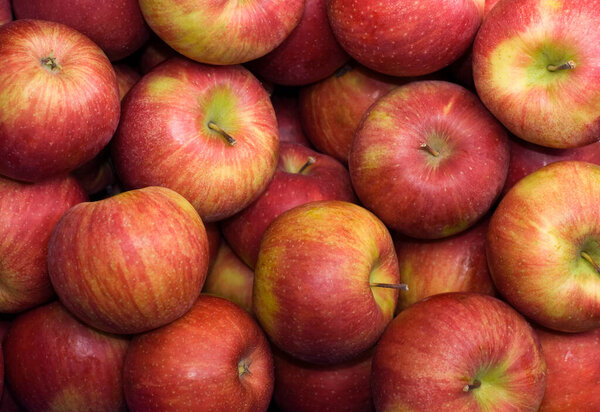 Red apples, pink lady filming at the market