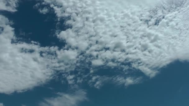 1920 1080 Fps Πολύ Ωραία Λευκά Σύννεφα Θολό Μπλε Του — Αρχείο Βίντεο