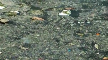 Deniz yüzeyinde yüzen 1920 x 1080 25 Fps. çok güzel plastik çöp .
