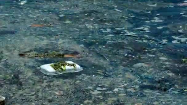 1920X1080 Fps 非常漂亮的塑料垃圾漂浮在海面上 — 图库视频影像
