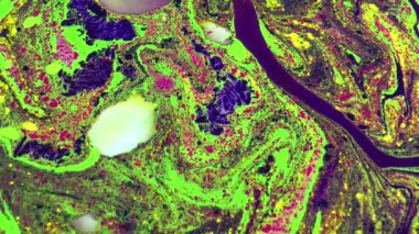 1920 x 1080 25 Fps. çok güzel kırmızı ve Mavi Soyut Renkler sonsuz arka plan doku video.