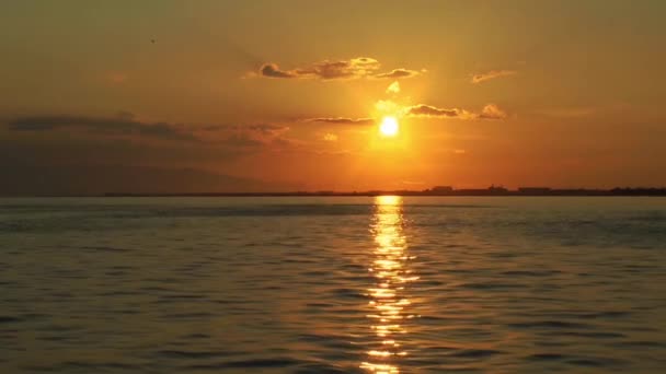 Sunset Skyline Raios Sol Faísca Água Mar Com Aves Marinhas — Vídeo de Stock