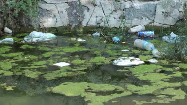 Σκουπίδια Και Σκουπίδια Επιπλέουν Στην Επιφάνεια Του Νερού Ρύπανση Του — Αρχείο Βίντεο