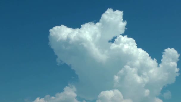 1920X1080 Fps Красивые Весенние Облака — стоковое видео