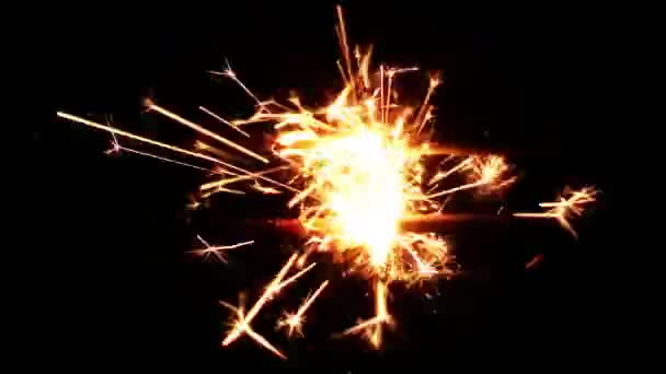 1920X1080 Fps Muy Bonito Sparkler Squib Sobre Fondo Negro — Vídeo de stock