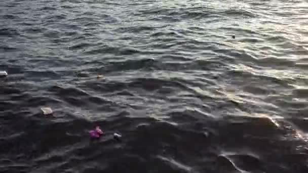 Çöp Çöp Suyun Yüzeyinde Yüzüyordu Deniz Yüzeyinde Kirli Plastik Atık — Stok video