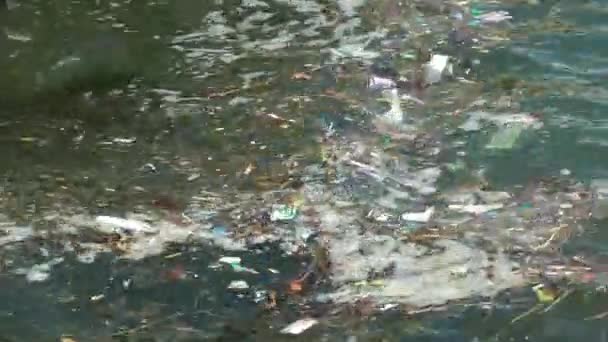 Basura Basura Flotando Superficie Del Agua Contaminación Del Agua Con — Vídeos de Stock