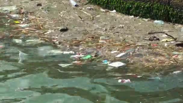 Müll Und Müll Treiben Auf Der Wasseroberfläche Wasserverschmutzung Durch Schmutzigen — Stockvideo