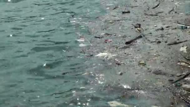 垃圾和垃圾漂浮在水面上 污物和塑料垃圾漂浮在海面上的水污染 — 图库视频影像