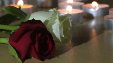 1920 x 1080 tam Hd. çok güzel mum ışığı yanan ve Rose görüntüle Video.