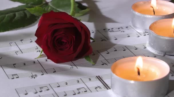 1920X1080 Full Very Nice Candle Light Burning Rose View Video — Stock Video