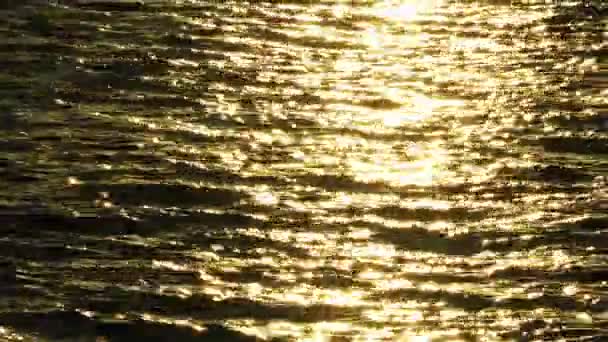 1920 1080 Fps Çok Güzel Bulutlar Gökyüzü Deniz Parıldıyor Dalgalanma — Stok video