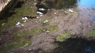 Çöp ve çöp suyun yüzeyinde yüzüyordu. Deniz yüzeyinde kirli ve plastik atık yüzen su kirliliği 