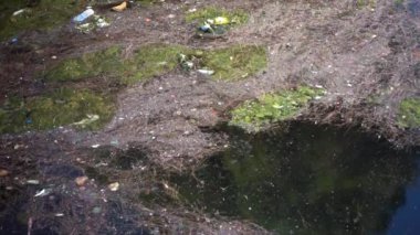 Çöp ve çöp suyun yüzeyinde yüzüyordu. Deniz yüzeyinde kirli ve plastik atık yüzen su kirliliği 