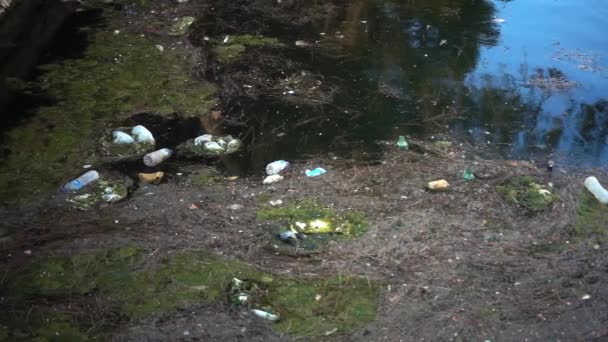 Müll Und Müll Treiben Auf Der Wasseroberfläche Wasserverschmutzung Durch Schmutzigen — Stockvideo