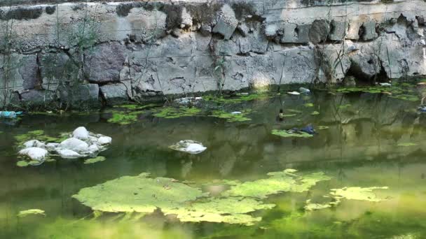 Vuilnis Afval Drijvend Het Oppervlak Van Het Water Watervervuiling Met — Stockvideo