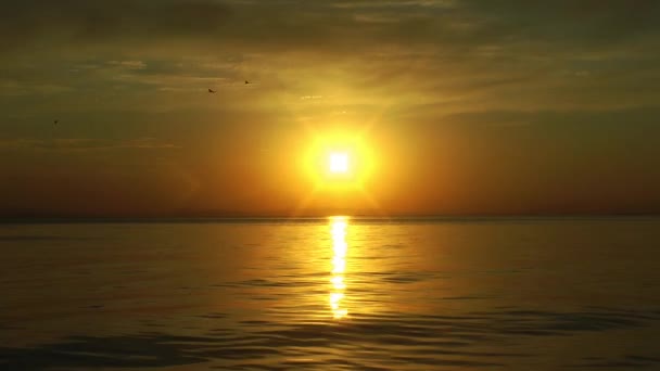 Coucher de soleil Skyline Rayons de soleil et scintillement sur l'eau de mer avec les oiseaux de mer 