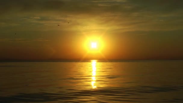 Sunset Skyline Sun Rays Dan Sparkle Sea Water Seabirds — Stok Video