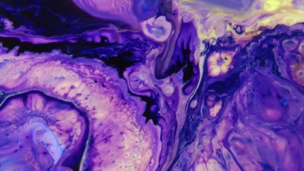 1920X1080 Fps Very Nice Abstract Colorful Vibrant Swirling Colors Explosion — Stock Video