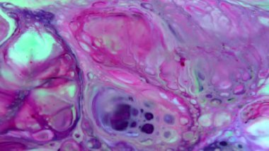 1920 x 1080 25 Fps. çok güzel soyut mükemmel renkli boya su arka plan doku videoda yayılır..