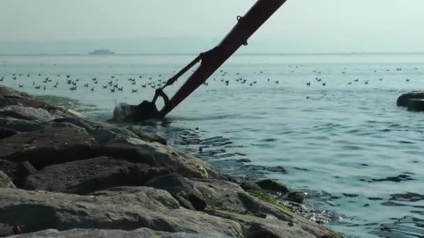 Экскаватор Работает Море Удаление Загрязнения Моря Обломками — стоковое видео
