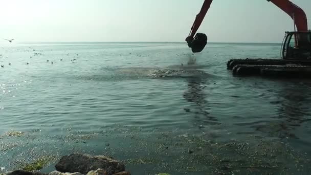 Excavatrice Travaillant Mer Enlèvement Pollution Par Les Débris Marins — Video