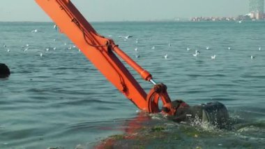 Denizde çalışan tarak. Deniz enkaz kirliliği Temizleme