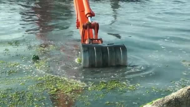 Scavatore Che Lavora Mare Rimozione Dell Inquinamento Marino Detriti — Video Stock