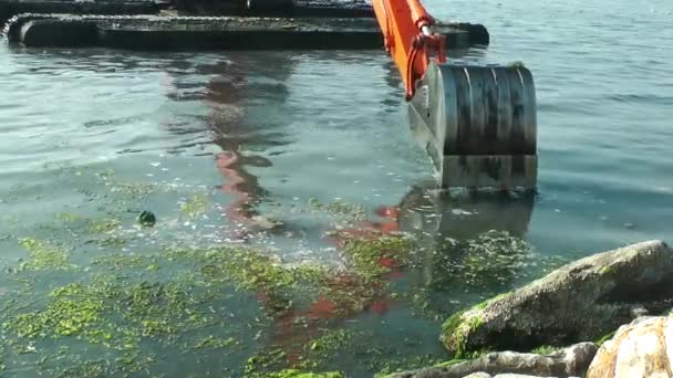 Graafmachine Werken Zee Zeeafval Vervuiling Verwijderen — Stockvideo