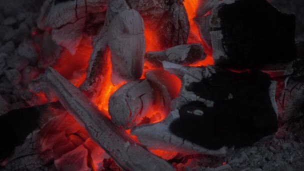 非常好的木炭火灾燃烧4K — 图库视频影像
