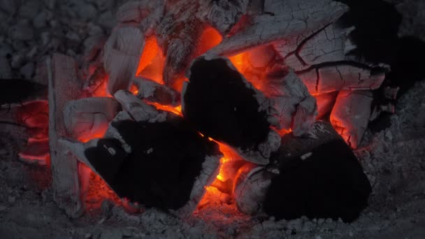 Très Beau Feu Charbon Bois Brûlant Vidéo — Video